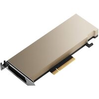 NVIDIA Tesla A2 16GB GDDR6 900-2G179-2720-101