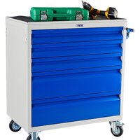 Практик WDS-5