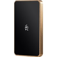 SmartBuy P5 Pro SBD256P5CU3C 256GB (золотистый) Image #2