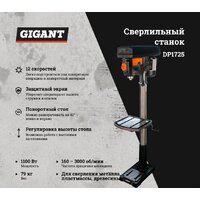 Gigant DP1725 Image #8