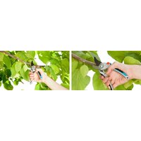 Gardena B/L 08906-20 Image #2