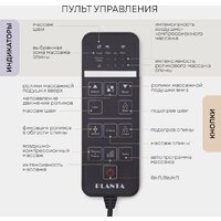 Planta MN-3000 Image #12