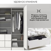 Planta MN-3000 Image #11