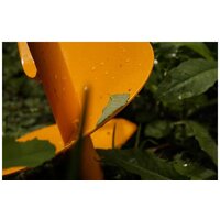 Tornadica Профи Мини TOR-32BURPROF Image #5