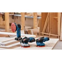 Bosch GEX 12V-125 Professional 0601372101 (без АКБ) Image #4