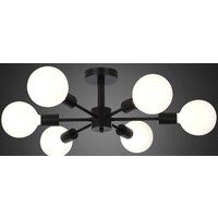 Evoluce Ano SL419.402.06 Image #5