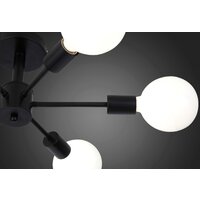 Evoluce Ano SL419.402.06 Image #8