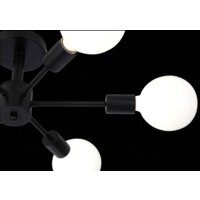 Evoluce Ano SL419.402.06 Image #7