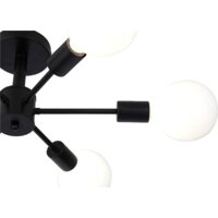 Evoluce Ano SL419.402.06 Image #9