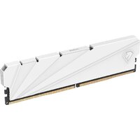 Netac Shadow S 16ГБ DDR4 2666 МГц NTSSD4P26SP-16W Image #2