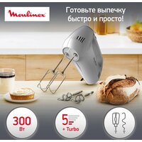 Moulinex Quick Mix HM310E10