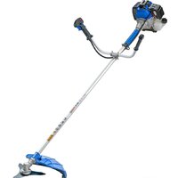 Витязь БГ-3900М