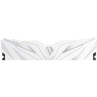 Netac Shadow II White 16ГБ DDR5 6000 МГц NTSWD5P60SP-16W