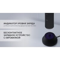 Polaris PETB 0701 TC (графит) Image #8