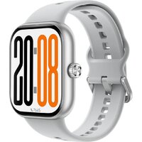 HONOR Choice InFoWear Watch 2 Pro LWS-WB11 (серебристый)