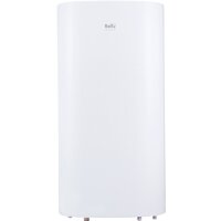 Ballu Aquastar Inox ASWX-F 100 Image #1