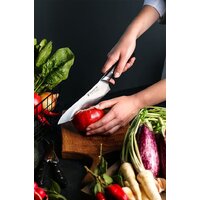 Polaris Stein-4BSS Image #16