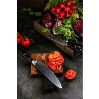 Polaris Stein-4BSS Image #15