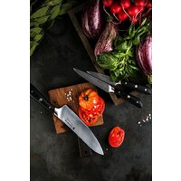 Polaris Stein-4BSS Image #14