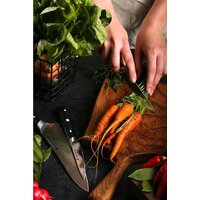 Polaris Stein-4BSS Image #18