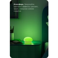 Sber Грибочек SBDV-00127 Image #9