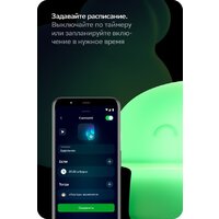 Sber Грибочек SBDV-00127 Image #10