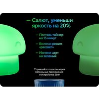 Sber Грибочек SBDV-00127 Image #8