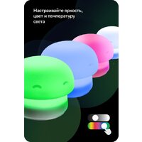 Sber Грибочек SBDV-00127 Image #6