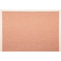 CACTUS CS-CWBD-45X60