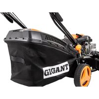 Gigant PLM-01 Image #15