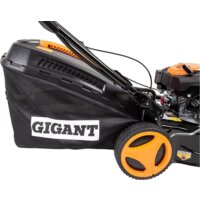 Gigant PLM-01 Image #12