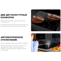 Garlyn H-400 Image #3