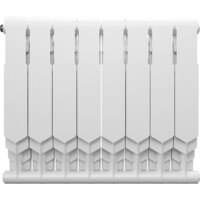 Royal Thermo Vittoria Super 500 2.0 - 8 секций Image #3