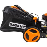 Gigant PLM-02 Image #23