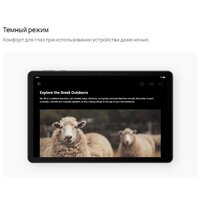 Huawei MatePad SE 10.4" AGS5-W09 4GB/128GB (графитовый черный) Image #4