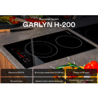 Garlyn H-200 Image #2