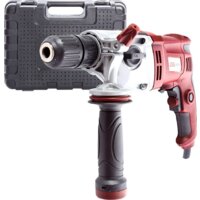 RedVerg RD-ID1000/2S