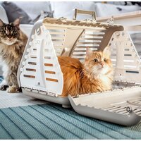 Rotho Toby 4000807422 Image #2