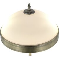 Myfar Biene MR2522-2T Image #5