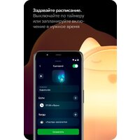 Sber Кошка SBDV-00125 Image #10