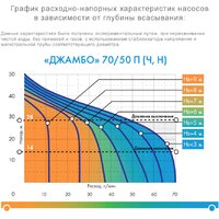 Джилекс Джамбо 70/50 Ч-24 Image #2