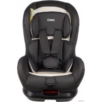 Zlatek Galleon Lux (жемчужная сталь)