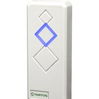 Tantos TS-RDR-E (белый)