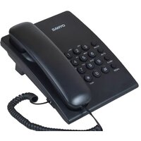 Sanyo RA-S204B Image #2