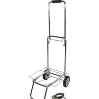 Рыжий кот BX-55ZD-2