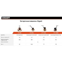 Gigant GT-1000H Image #25