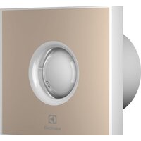 Electrolux Rainbow EAFR-100 (бежевый) Image #1