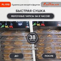 Pullman PL-1110 Image #2