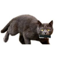 Transcend JetFlash 780 32 Гб (TS32GJF780) Image #4