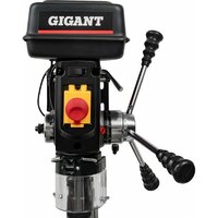 Gigant DP1316F Image #17